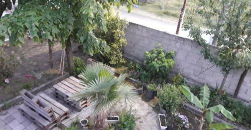 Hostal Chaplin