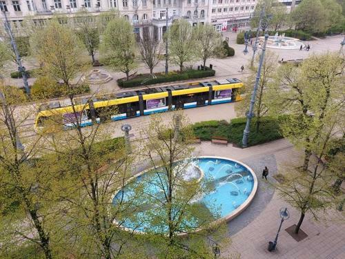 Alf�ldi Palace Apartman