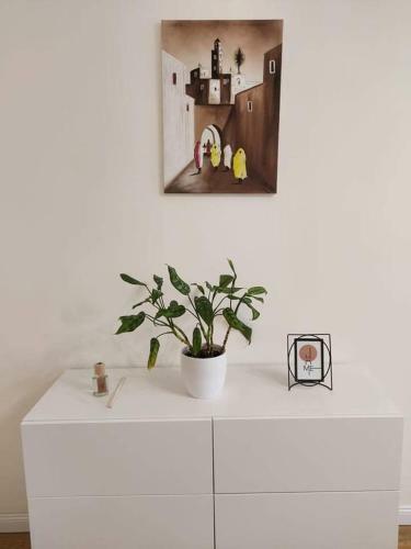Alf�ldi Palace Apartman