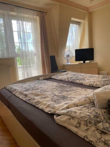 Hostal D�vid Vend�gh�z