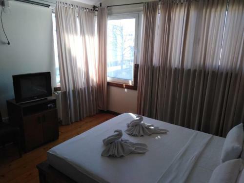 Hotel Devedzic