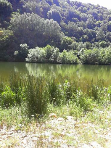 Bed & Breakfast Su Carreri