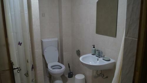 Hostal Vila Ovidiu