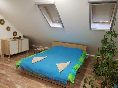 Apartamento ?ukovac Studios