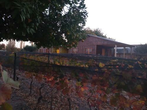 Apartamento Entre Vi�edos