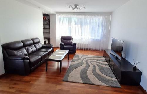 Lovely 1-bedroom Apartaments