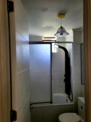 Apartamento Departamento Amoblado Vip