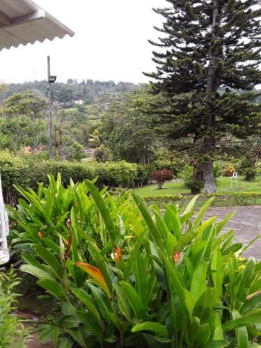 Finca Bosque Real