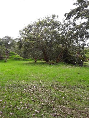 Finca Bosque Real