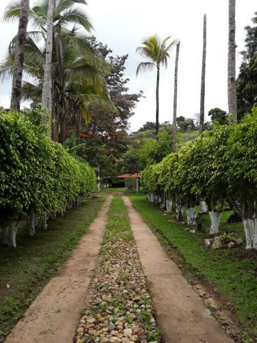 Finca Bosque Real