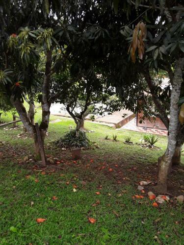 Finca Bosque Real