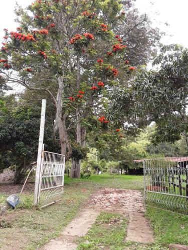Finca Bosque Real