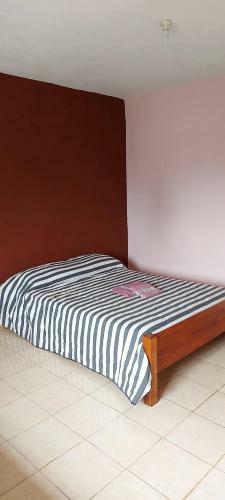 Apartamento Los Chow Chow