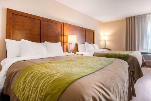 Hotel Comfort Inn & Suites