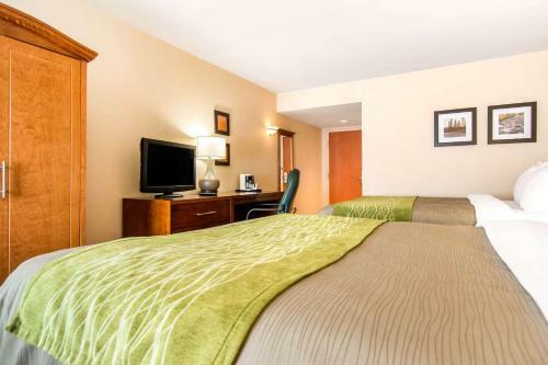 Hotel Comfort Inn & Suites