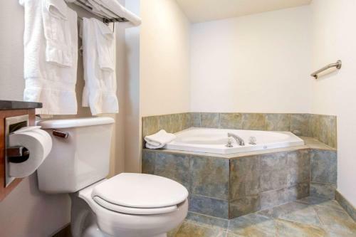 Hotel Comfort Inn & Suites