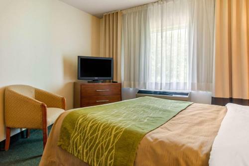 Hotel Comfort Inn & Suites