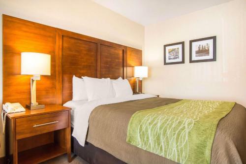 Hotel Comfort Inn & Suites