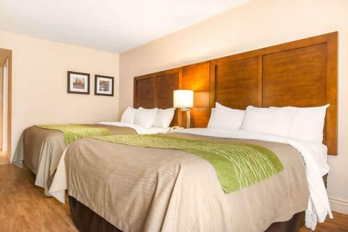 Hotel Comfort Inn & Suites
