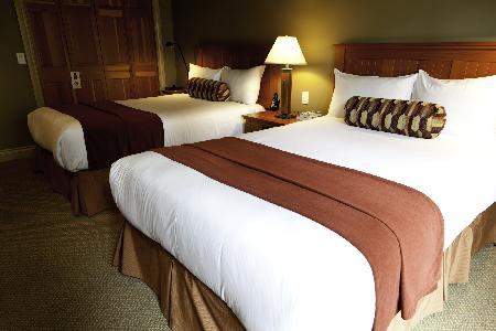 Hotel Long Beach Lodge Resort - Forest Room Cb