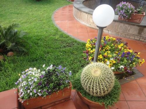 Bed & Breakfast Acquamarina