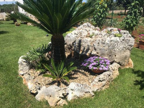 B&B Villa Grassi