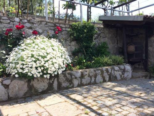 Bed & Breakfast La Torretta Bianca