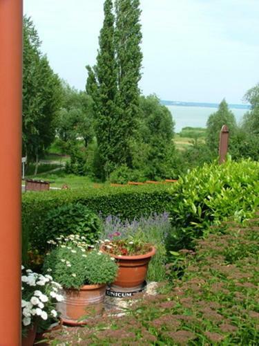 Bed & Breakfast V�r�sk? Panzi� �s �tterem