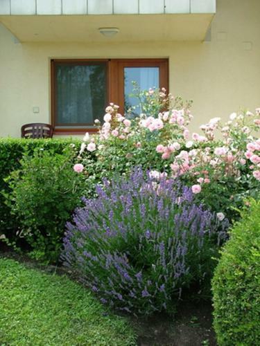 Bed & Breakfast V�r�sk? Panzi� �s �tterem