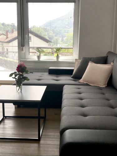 Apartment Loyd, Tolmin - Most Na So?i