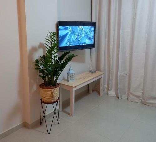 Apartamento Ap C/ Ar Condicionado, Bem Decorado, Praia Grande.