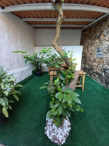 Apartamento Simple Life Style Arraial