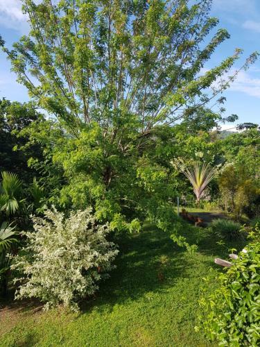 Villa Finca Del Zen Ecolodge