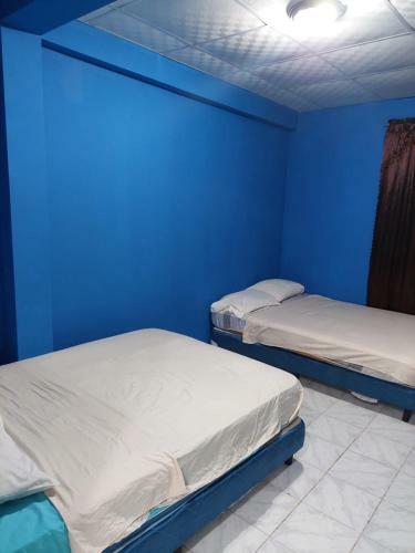 Albergue Twin Fin Plaza