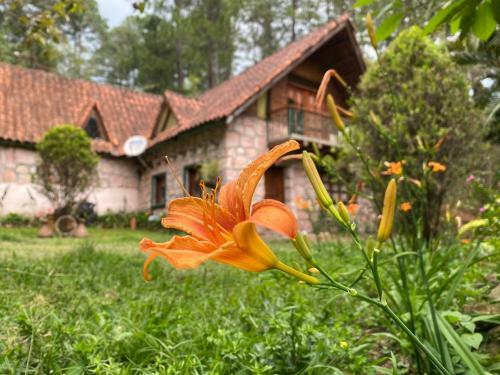 Casa Chalet