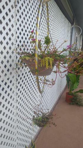 Apartamento Lafortuna#2
