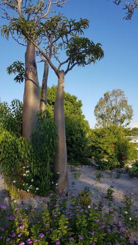 Lodge Villa Mampiadana