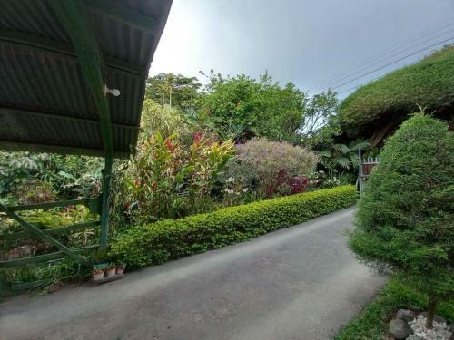 Rossy's Villa And Garden's