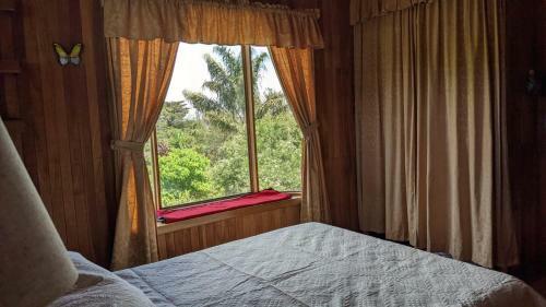 Rossy's Villa And Garden's