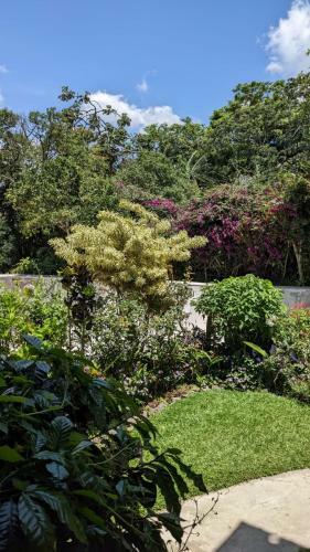 Rossy's Villa And Garden's