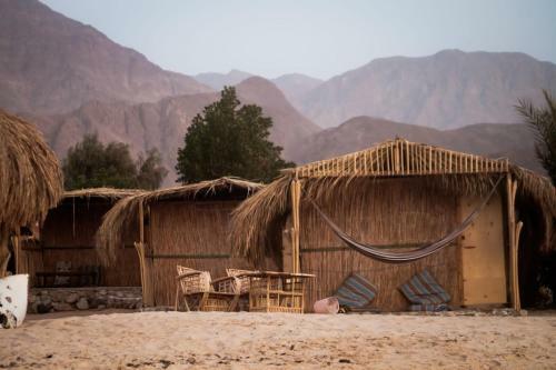 Hotel Ashry Oasis