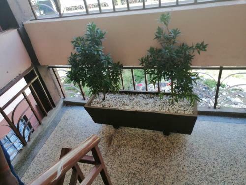 Cosy 1 Bedroom Apartment In Kahawa Wendani