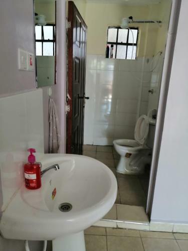 Cosy 1 Bedroom Apartment In Kahawa Wendani