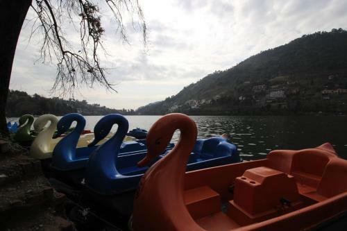 Hotel Lake & Woods Resort