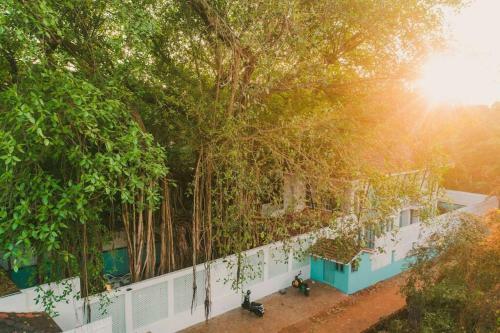 White Banyan Beach Villa, Candolim By The Acacia Villas