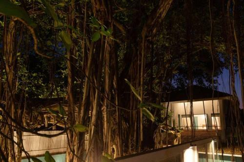 White Banyan Beach Villa, Candolim By The Acacia Villas