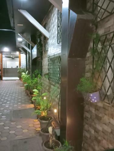 Hotel Qamar