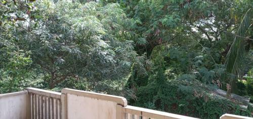 Mithi-la City Home Stay