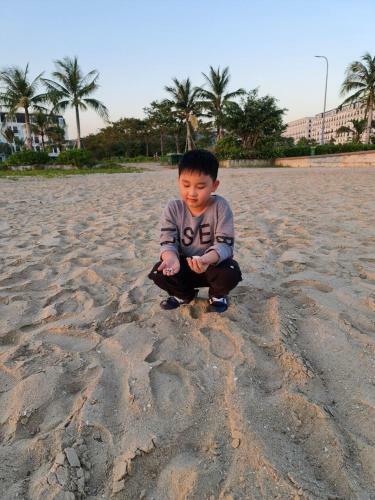 Apartamento C?n H? Li?n K? Cao C?p Haborbay 6 Ph�ng Ng?