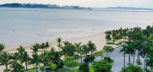 Apartamento C?n H? Li?n K? Cao C?p Haborbay 6 Ph�ng Ng?